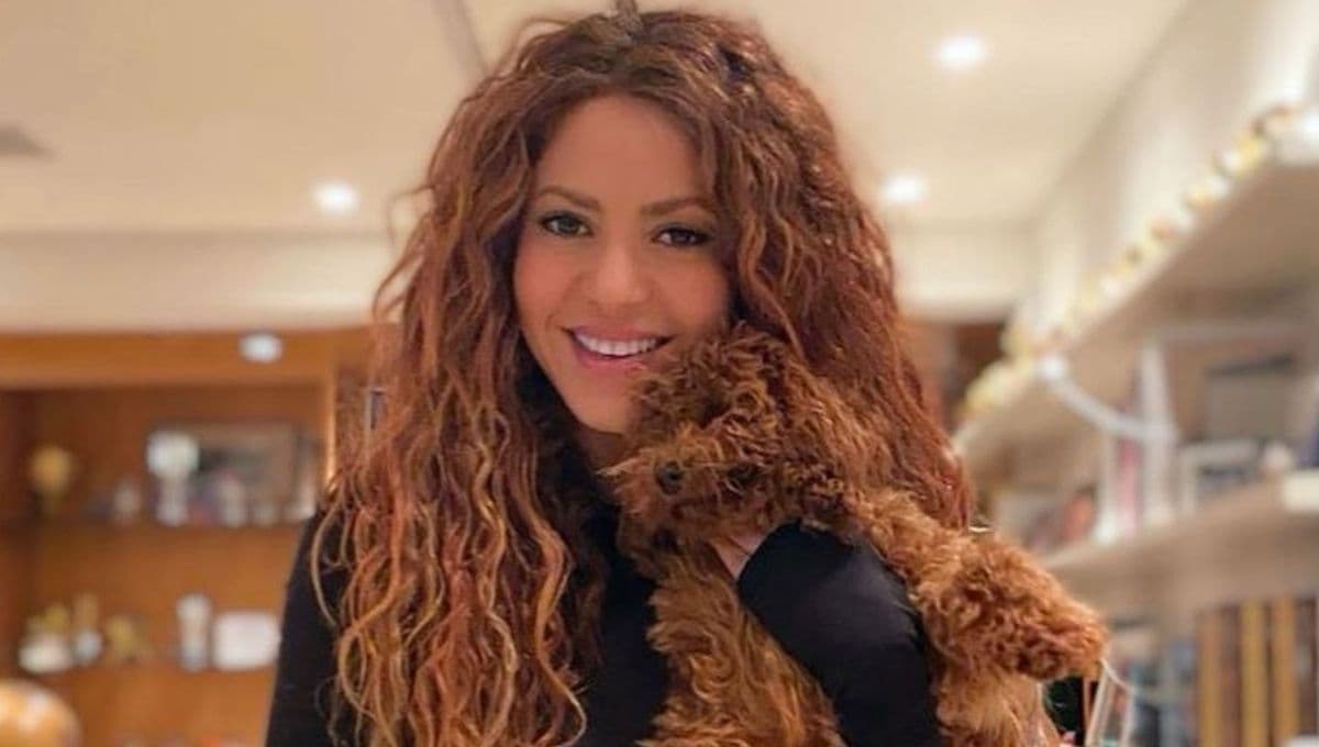 Shakira narró su historia con los jabalíes, ¡NADIE LA AYUDÓ!