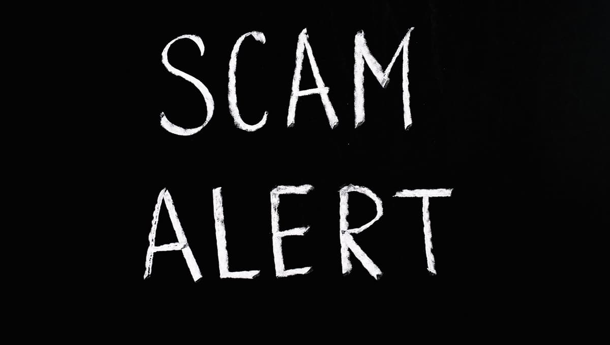 5 cantantes que demostraron ser un FRAUDE en los escenarios