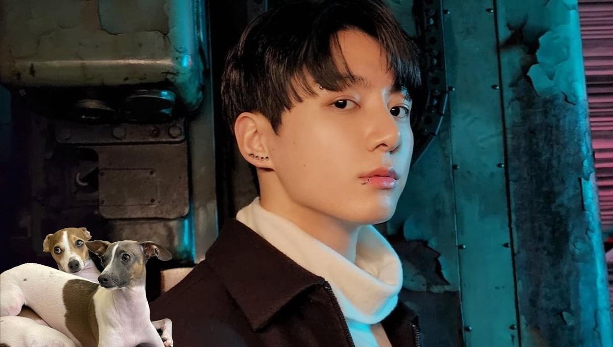 7 fotos de Songie y Paengie, los perritos de Jungkook de BTS que te robarán el corazón