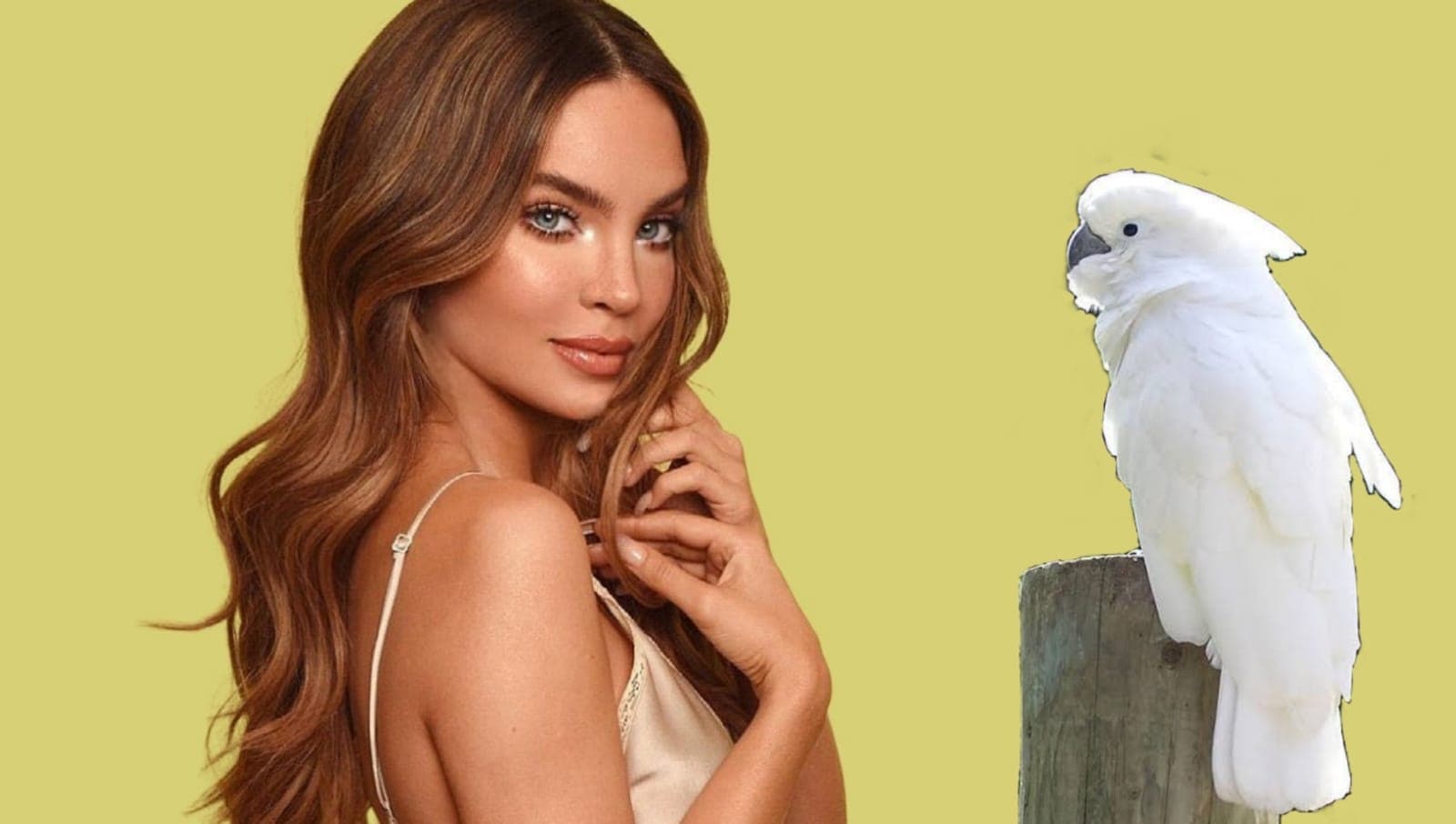 Belinda tiene un ave en peligro de extinción como mascota y levantan INVESTIGACIÓN en su contra