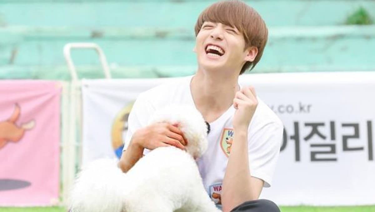 5 fotos de Jungkook de BTS con perritos que derretirán tu corazón