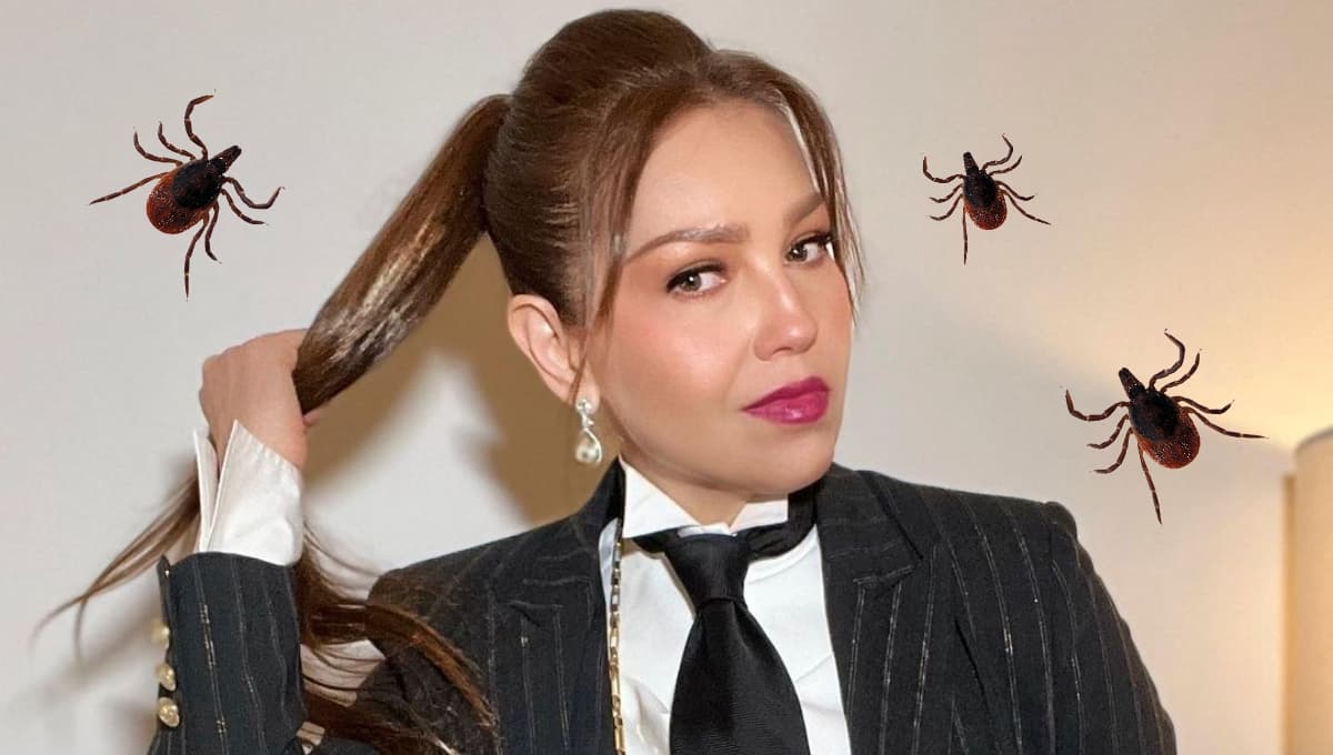 Thalía: ¿Qué es la enfermedad de Lyme, el padecimiento por el que pensó que moría?