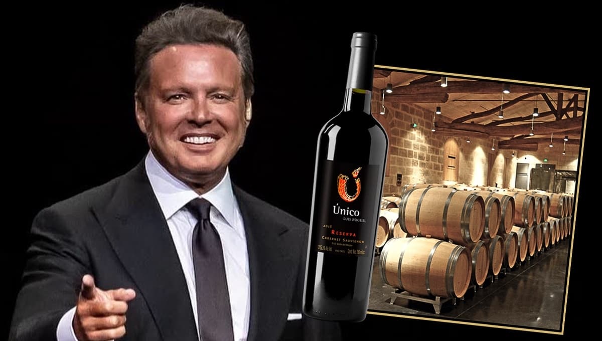 ¿Cuánto cuesta el vino de Luis Miguel y dónde conseguirlo a buen precio?