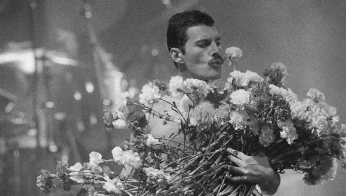 ‘Killer Queen’ la canción de Queen que Freddie Mercury escribió en una noche