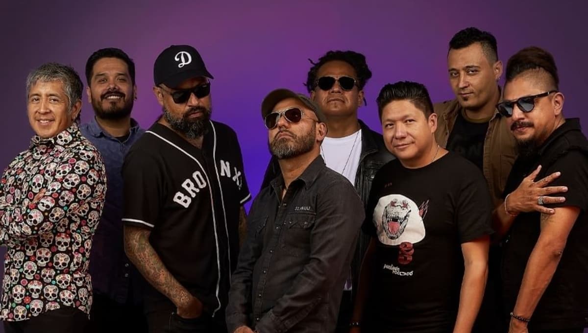 Esta es la letra de ska mexicano que debes dedicarle a la persona ingrata que te dejó