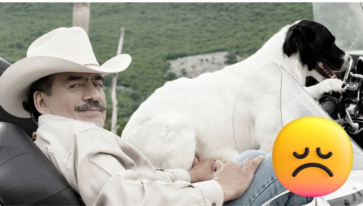 Si te usaron y te rompieron el corazón, esta canción de Joan Sebastian es para ti