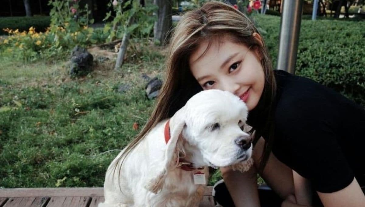 ¿De qué murió Kai, el perrito de Jennie de BLACKPINK?