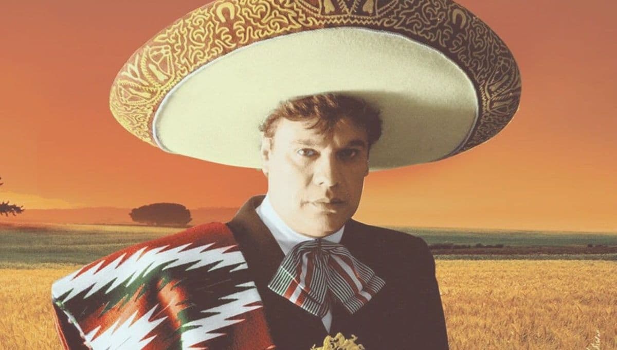 El amor se siente como esta canción de Juan Gabriel y su letra es la prueba