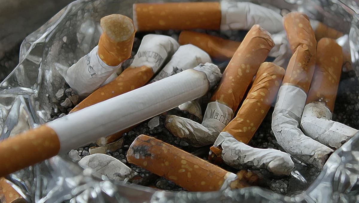 Canciones que te ayudarán a dejar de fumar en el Día Mundial Sin Tabaco