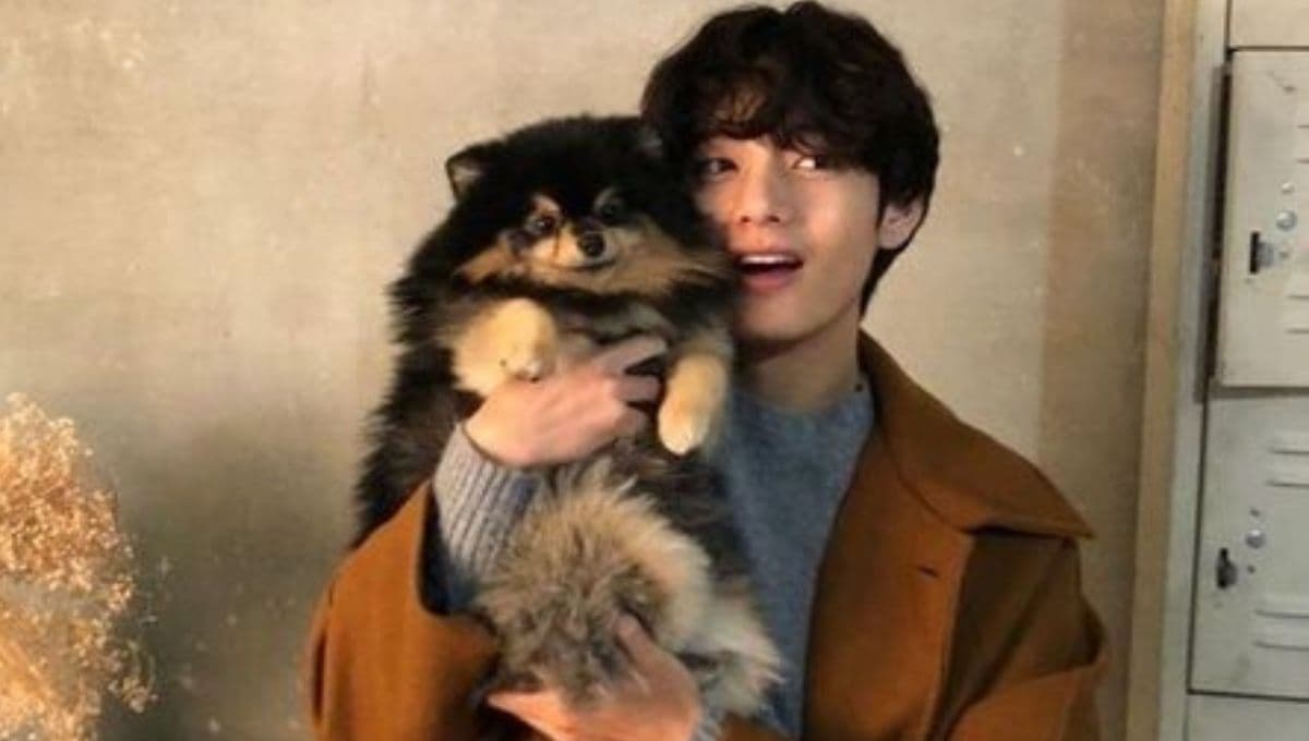 5 momentos donde ARMY quiso ser Yeontan para ser amada por BTS