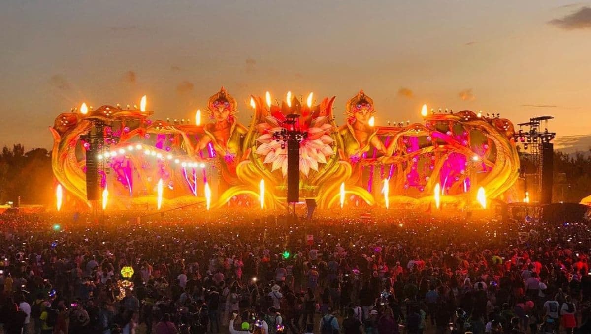 El truco para viajar GRATIS a cualquier festival en México