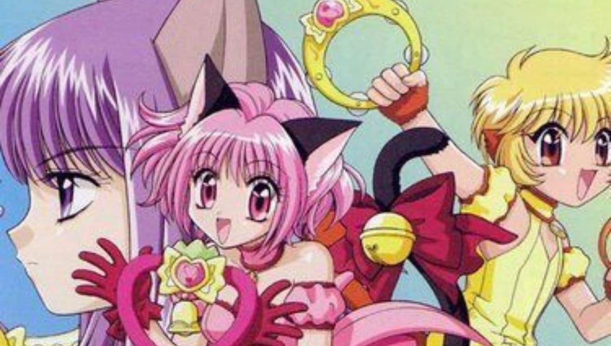 5 animes con personajes con orejas de gato que se volverán tu adicción