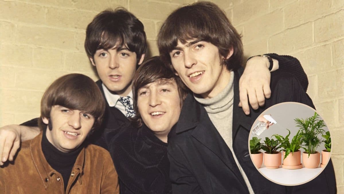 5 canciones de The Beatles para ponerle a tus plantas y tener un jardín hermoso