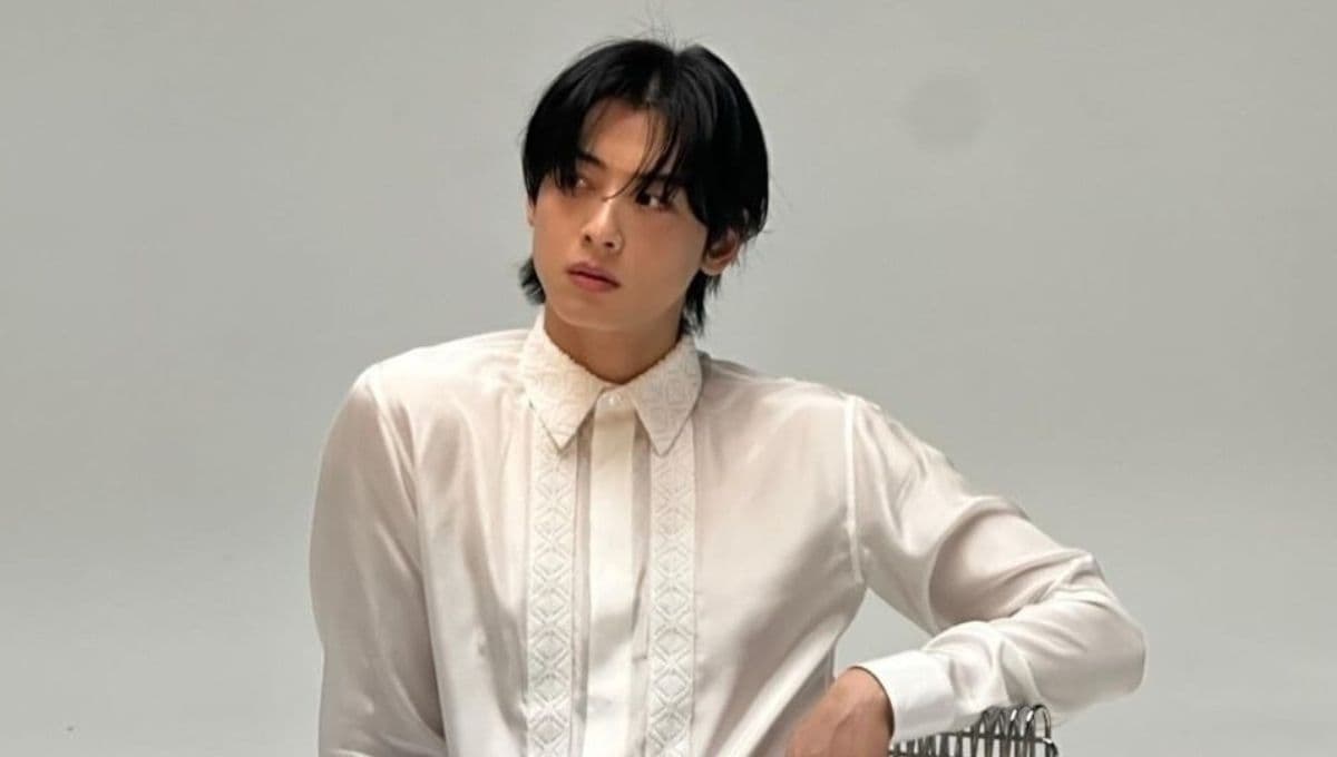 Todos los doramas de Cha Eun Woo en Netflix que debes ver antes de que se vaya al servicio militar