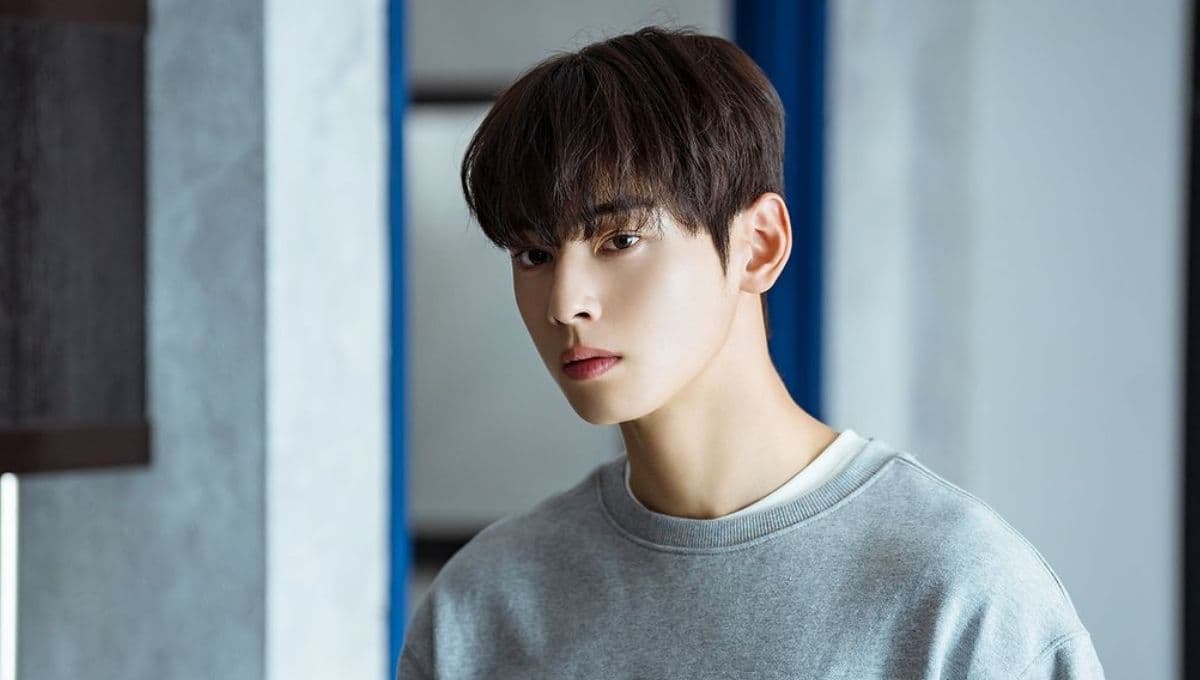 Cha Eun Woo: todos los doramas del guapo actor en HiTV que te harán suspirar