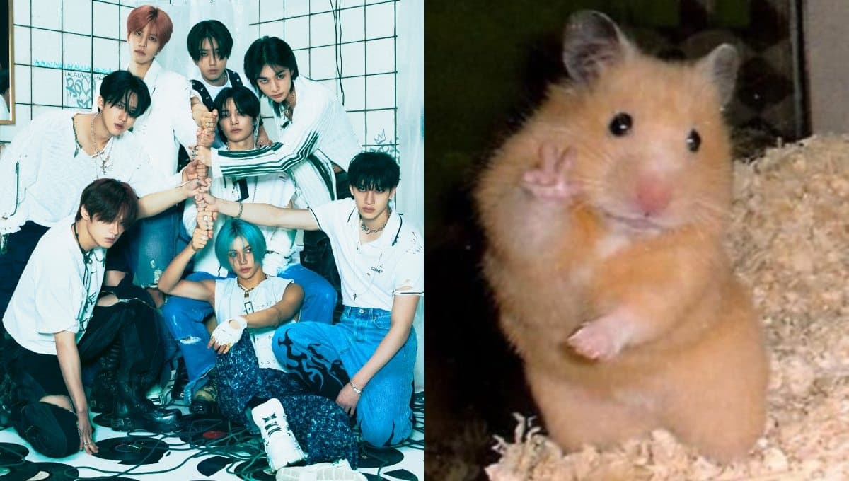 Escoge un hámster y te diremos qué miembro de Stray Kids es el dueño de tus suspiros