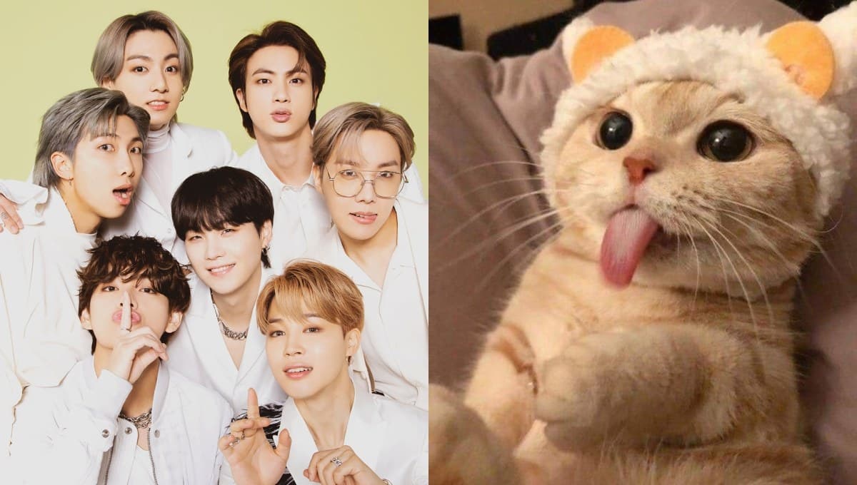 Elige un gatito: te diremos quién de BTS sería tu amante y quién tu esposo