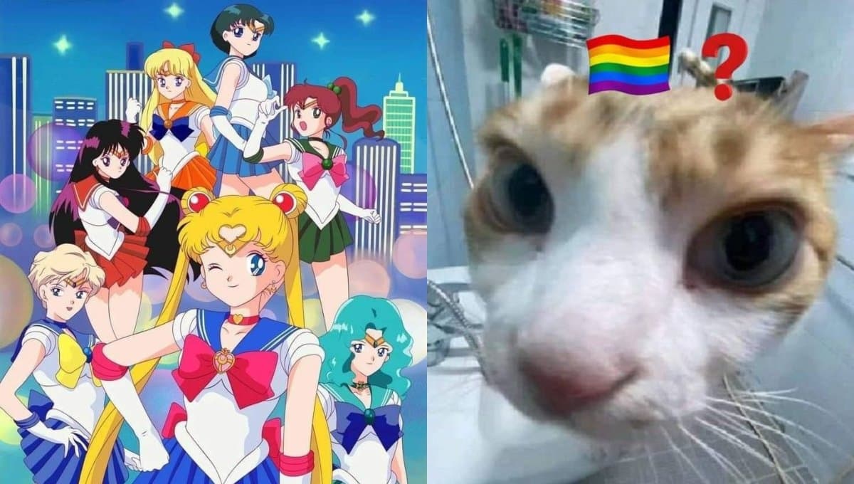 Tesis sobre ‘Sailor Moon me hizo gay’ causa controversia entre los fans del anime