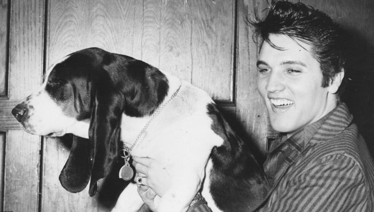 Día Mundial del Perro: los cantantes y sus perritos más FAMOSOS
