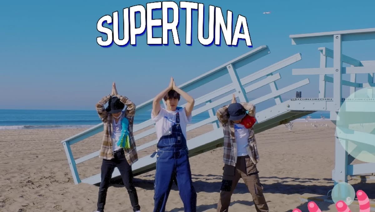 ¿Qué dice la nueva versión de Super Tuna de Jin de BTS?