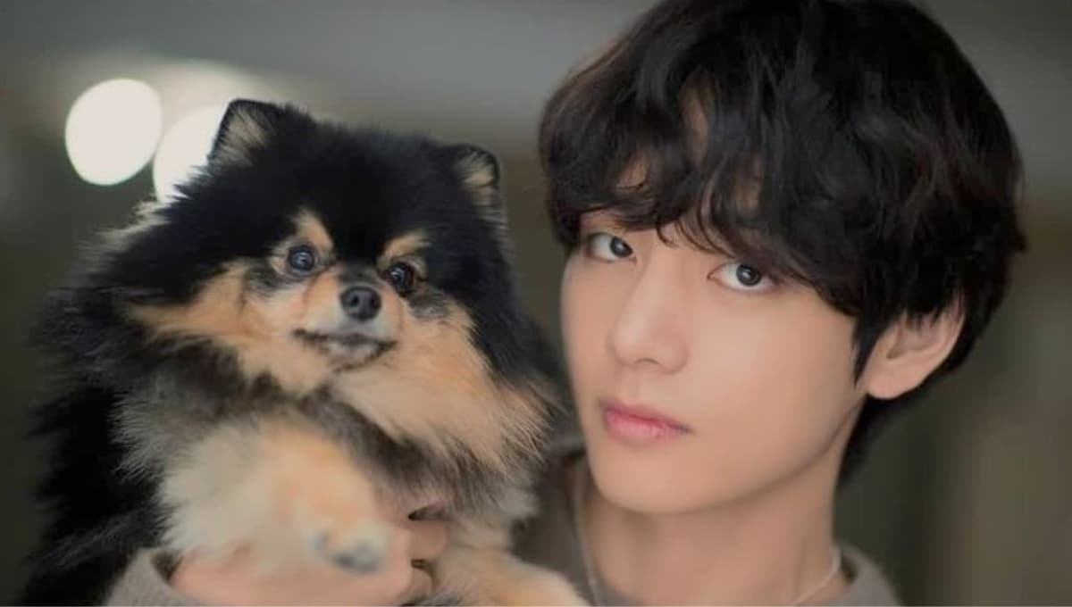 ¿Por qué se murió Yeontan, el perro de V de BTS?