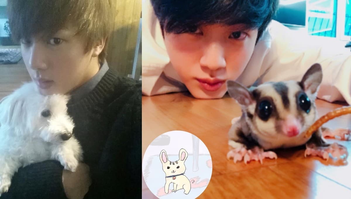 BTS: ¿Cuáles son las mascotas en las que Jin se inspiró para crear a Bangtani?