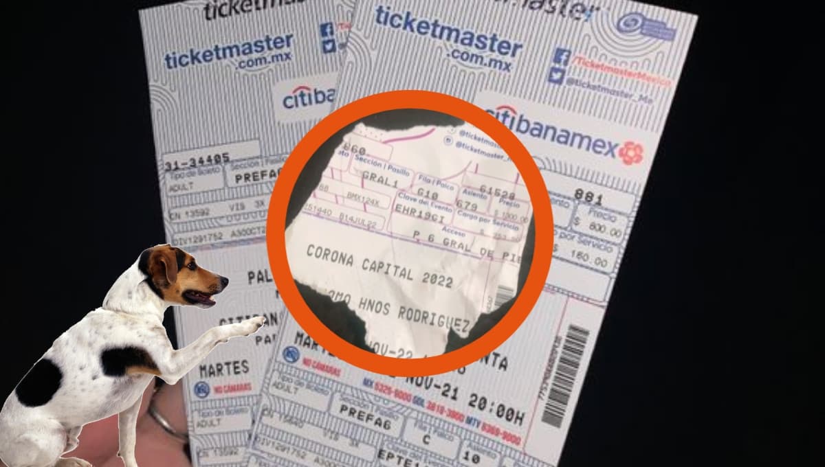 ¿Qué pasa si se rompe mi boleto de Ticketmaster o mi perro lo destruye?